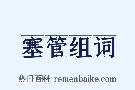 塞管组词是什么意思的图片